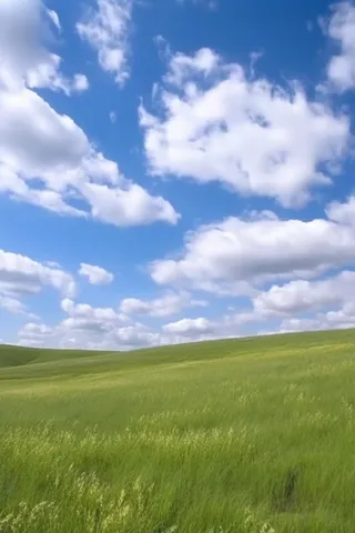 春天的蓝天白云草原很美背景图