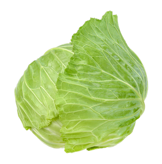 包菜 (8)超市商品白底图免抠实物摄影png格式图片透明底