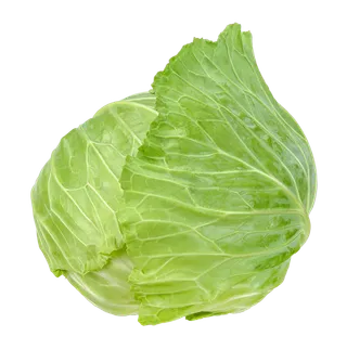 包菜 (8)超市商品白底图免抠实物摄影png格式图片透明底