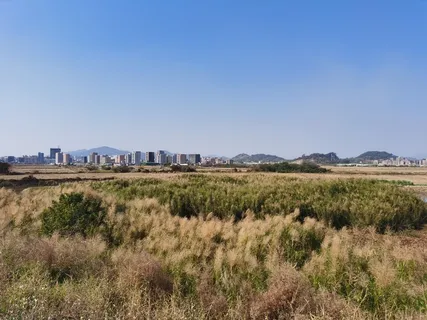 微信图片_2021020617195950