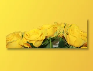 玫瑰, 黄色, 花, 束, 盛开, 开花