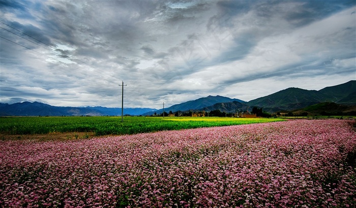 西藏风光风景