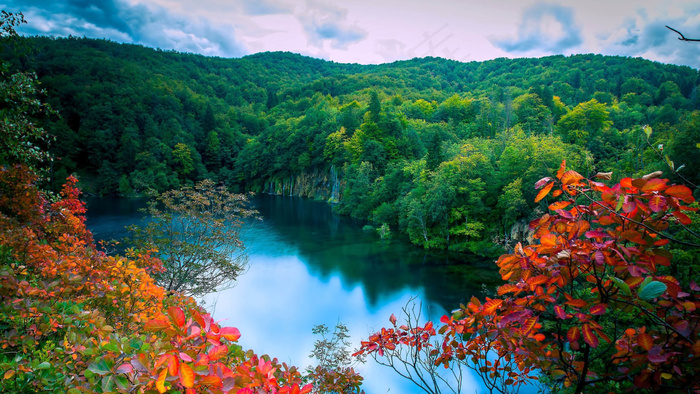 风景画 绿地风景 自然风景画 花树 