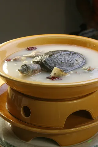 滋补甲鱼 (4)