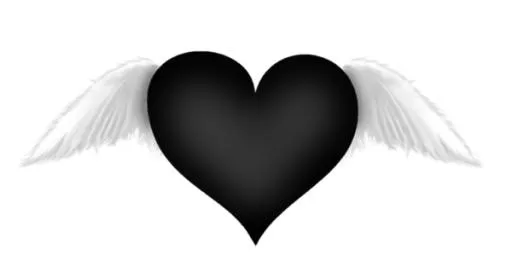 心脏 PNG免抠(600x320)