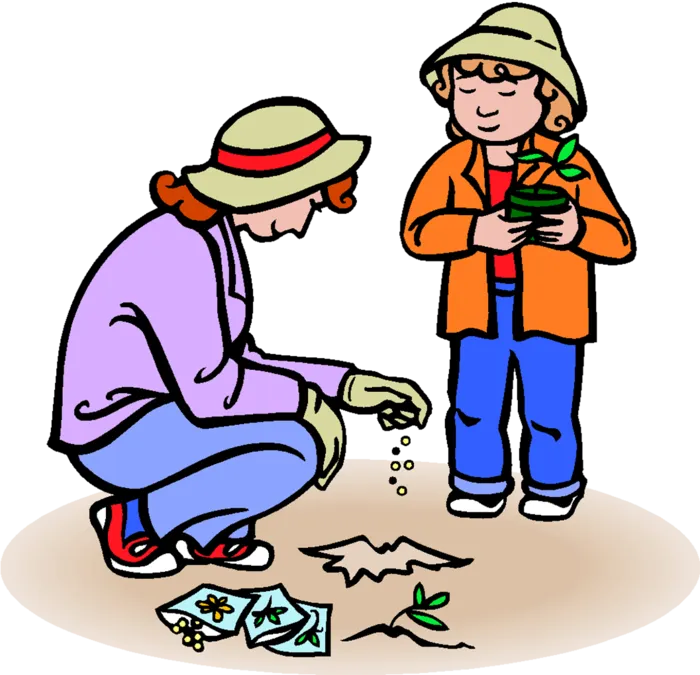 现代农业种植播种