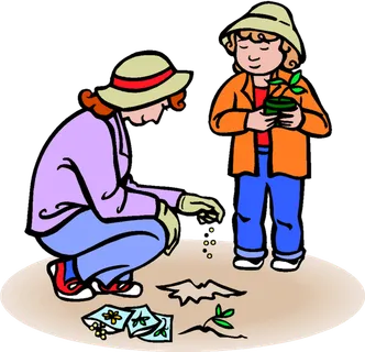 现代农业种植播种