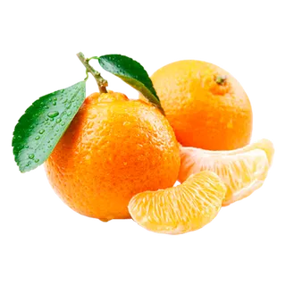 橘子免抠素材 (47)