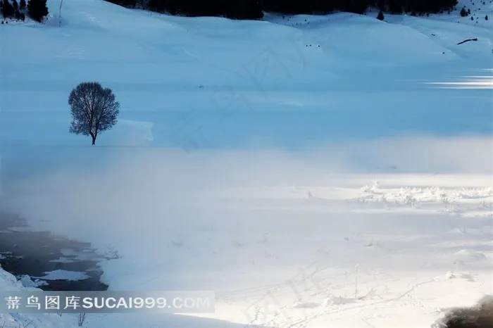 新疆巩乃斯雪景图片