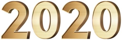 2020 年 PNG免抠(600x196)
