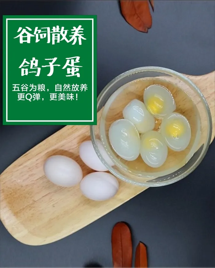 鸽子大全展板14cdr矢量模版下载