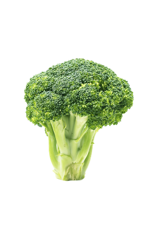 西兰花 (12)超市商品白底图免抠实物摄影png格式图片透明底