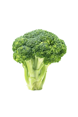 西兰花 (12)超市商品白底图免抠实物摄影png格式图片透明底