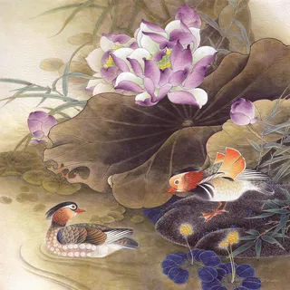 鸳鸯高清莲花中式画