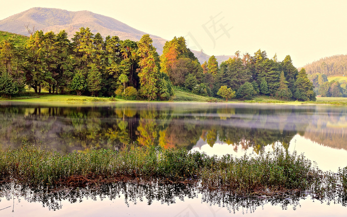 风景 景观 夕阳 黄昏 航拍风景 森林 大树 秋景