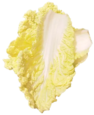 娃娃菜免抠摄影元素素材 