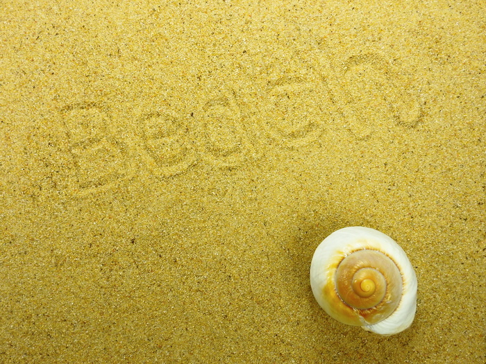 黄色沙滩背景图片