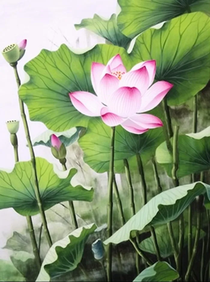荷花荷叶背景(896x1200)