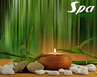 精美SPA用品设计素材高清图片