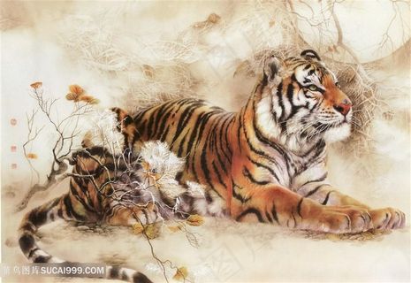 仰视天空的大老虎