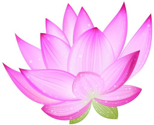 莲花 PNG免抠(2000x1623)