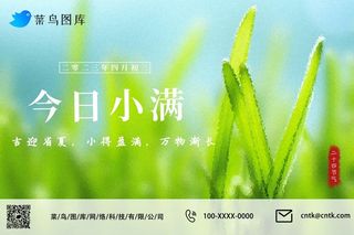 小满节气绿色小清新嫩芽青草公众号海报