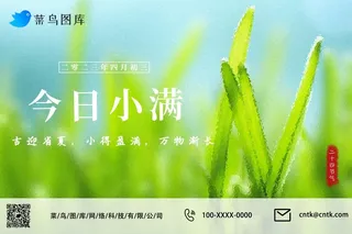 小满节气绿色小清新嫩芽青草公众号海报