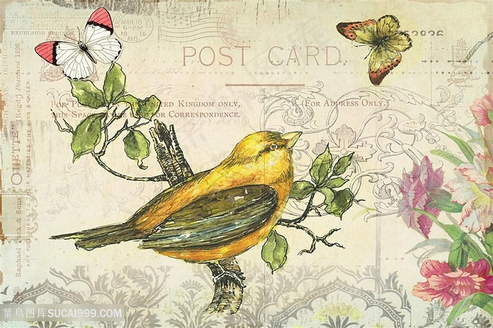 欧式花鸟装饰画