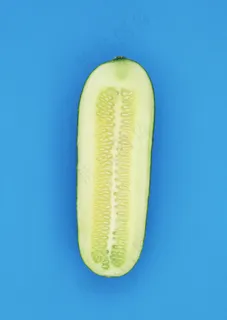 时鲜蔬果 93 时鲜蔬果 93