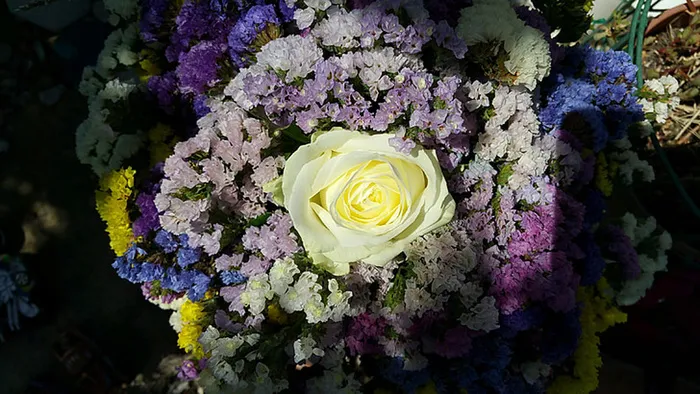 花朵 花束 植物 素材 (90)