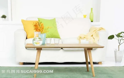 客厅沙发抱枕和浴缸