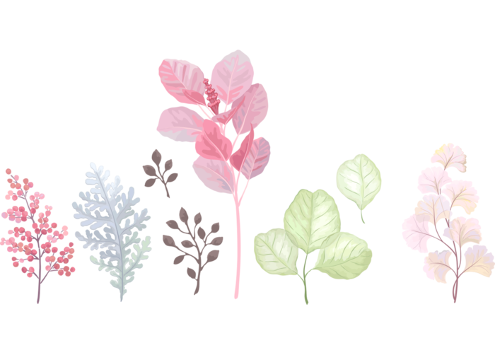 植物彩绘简笔