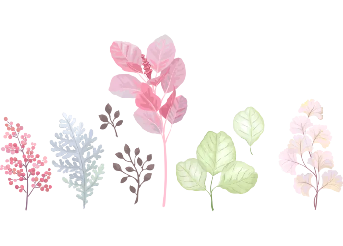 植物彩绘简笔