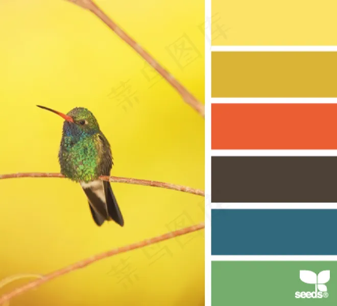 家禽鸟类配色色卡色彩搭配