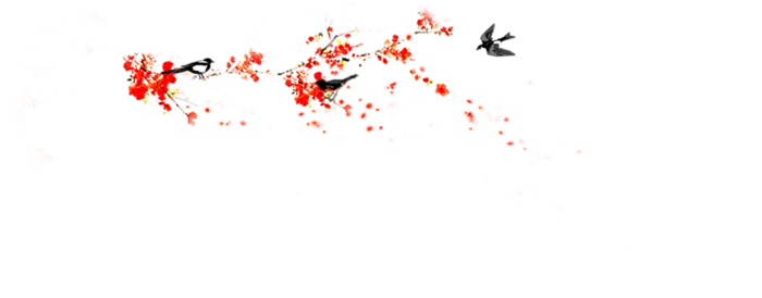 中国古风元素梅花鸟