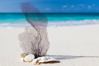 加勒比海海滩图片