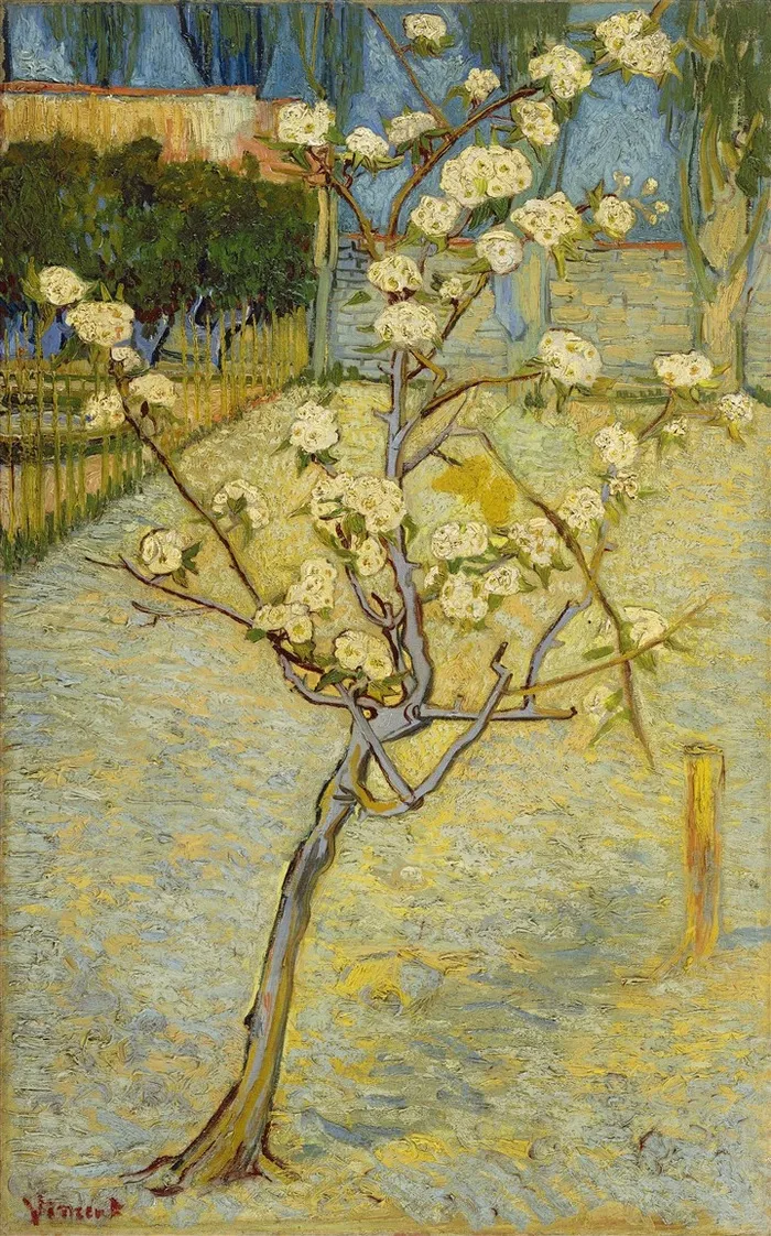 梵高风景树木油画作品素材