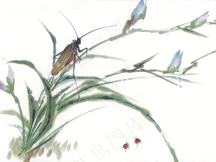 昆虫花草文化艺术摄影图片