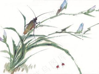 昆虫花草文化艺术摄影图片