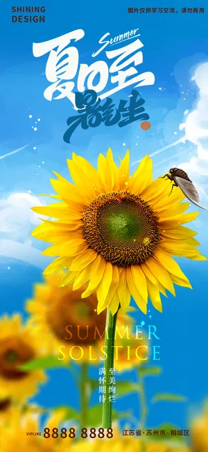 清新夏至暑期向日葵蝉知了刷屏海报 清新夏至暑期向日葵蝉知了刷屏海报