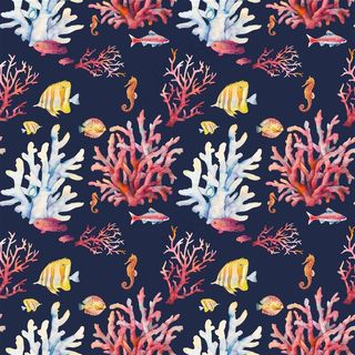 手绘水彩海洋生物高清图片