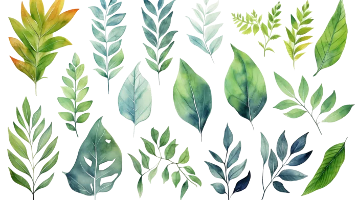 水彩画叶子绿色插画免抠(4368x2448)