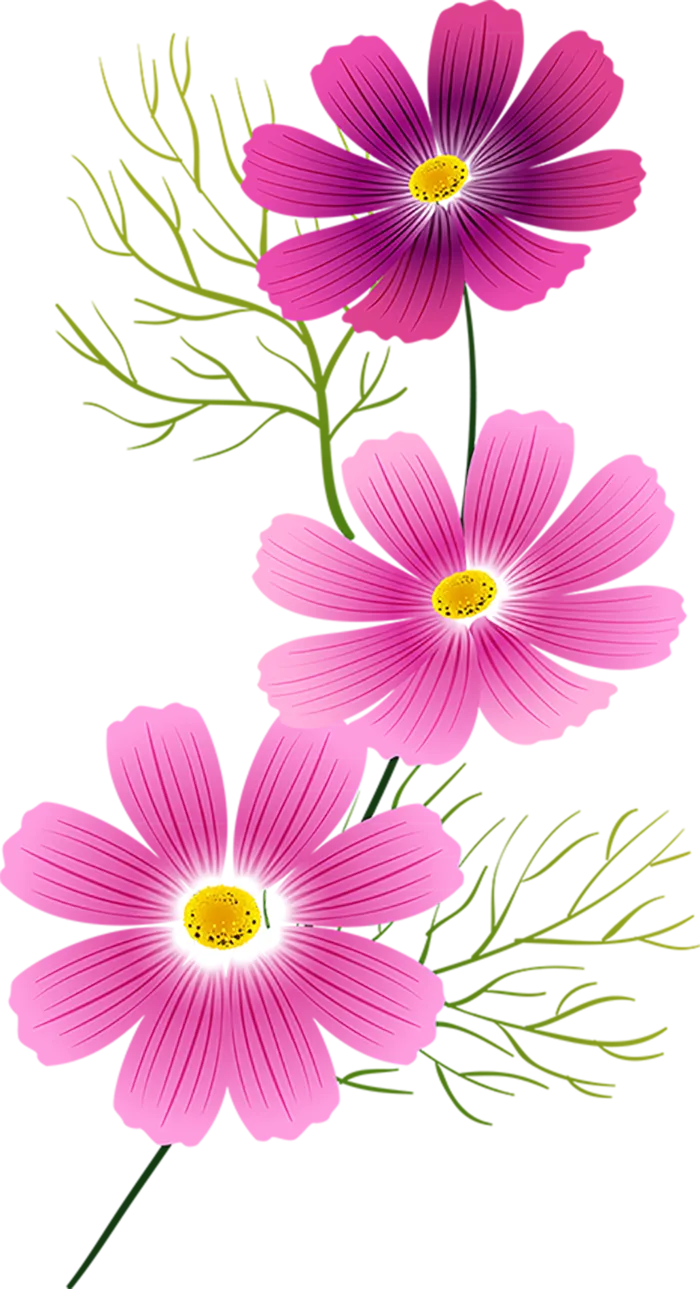 小花朵紫色素材春季谷雨