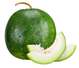 冬瓜 (2)超市商品白底图免抠实物摄影png格式图片透明底