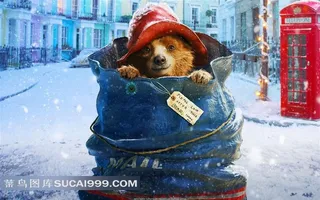 圣诞夜里被遗弃的小狗