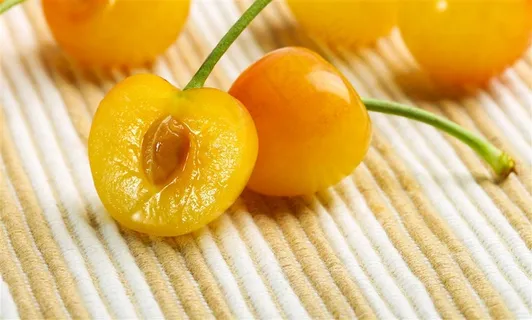 黄樱桃自然 绿色 果