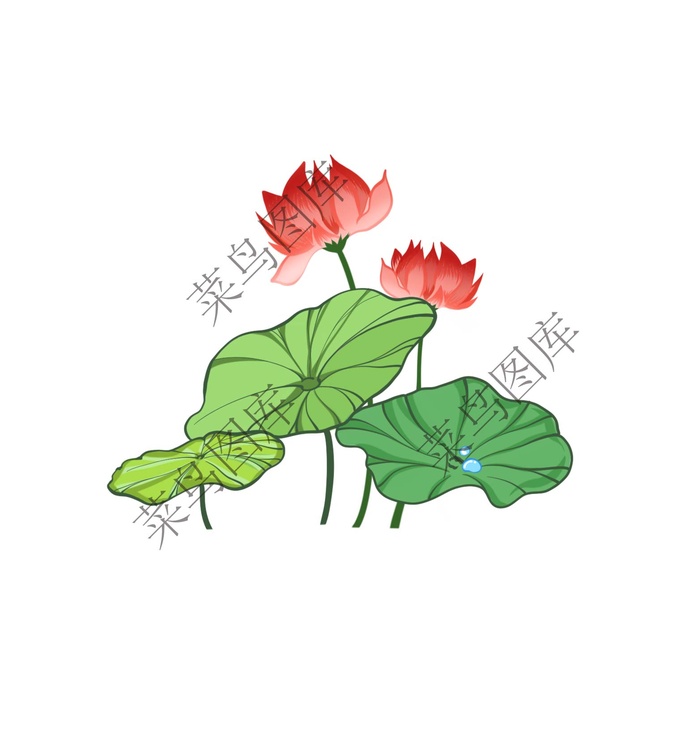 荷花背景图psd模版下载