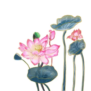 国潮中国风手绘荷花莲花荷叶莲藕植物花卉装饰插画PSD设计素材