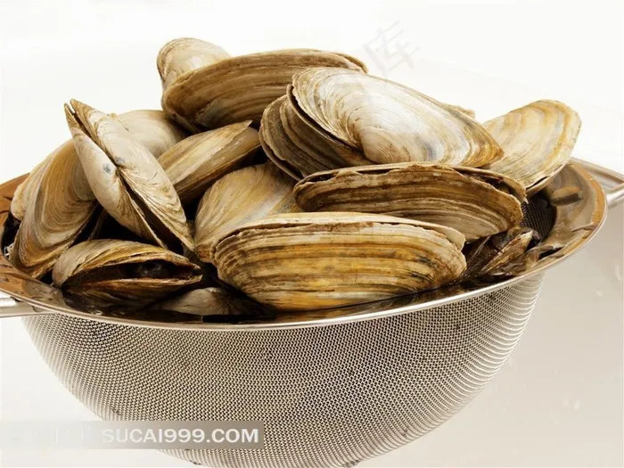 花蛤美食高清图片