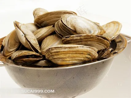 花蛤美食高清图片